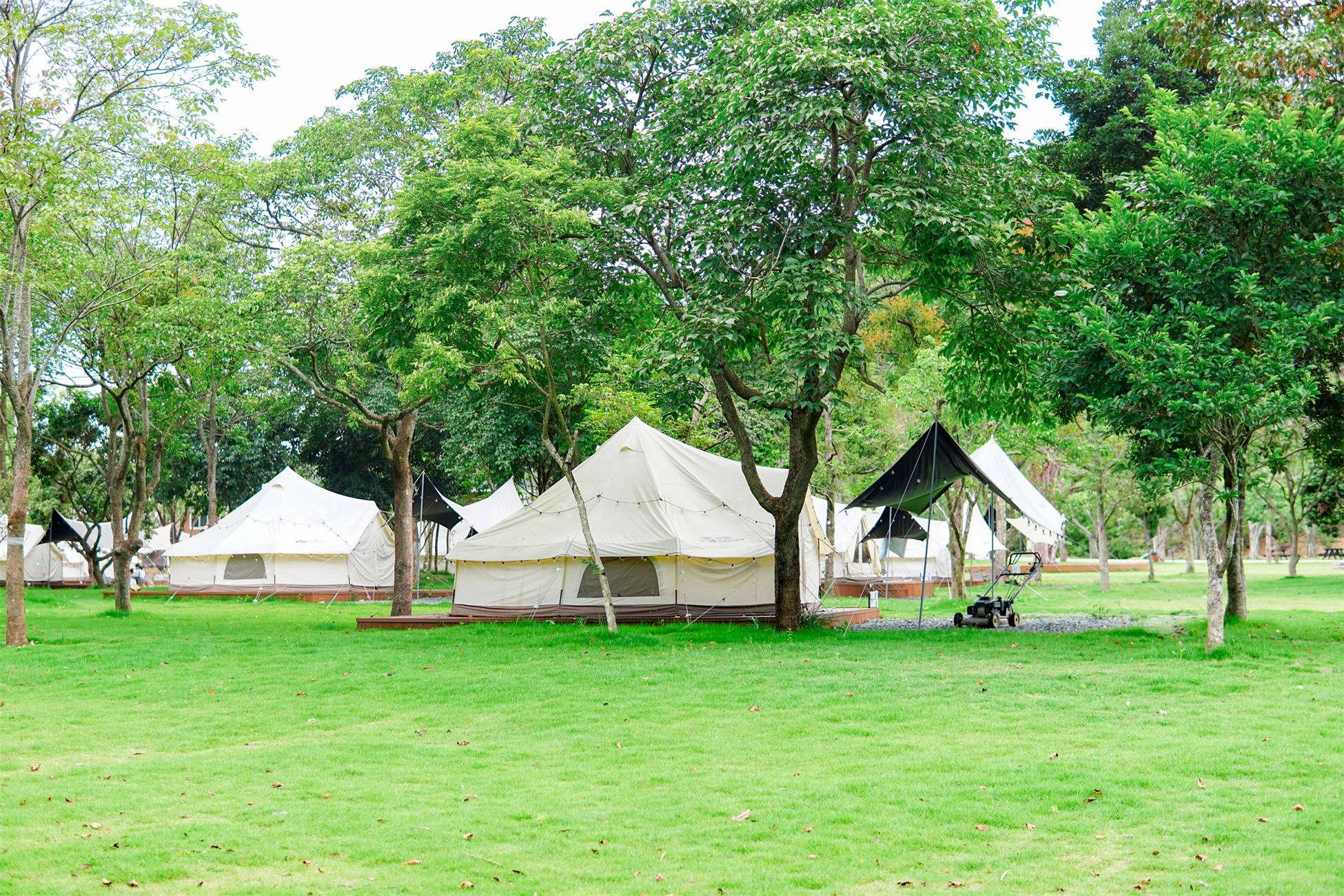 pg电子模拟器(中国)官方网站